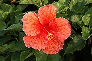 今年PC游戏展将展示55款游戏 其中16款为全新作品